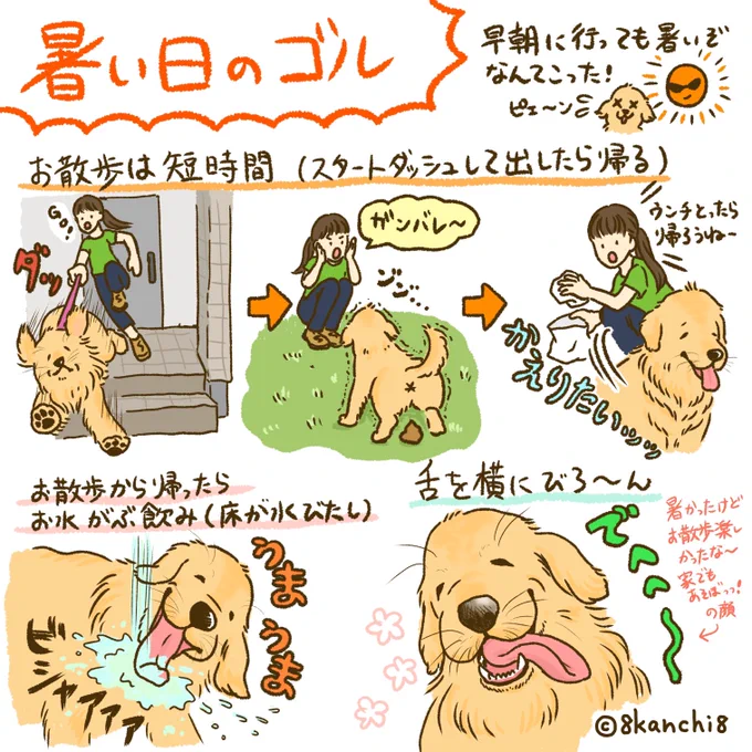 暑い日のゴル☀️
お散歩に行かれる主様、ワンチャン様、お気をつけて行ってらっしゃいませ〜🐾

#ゴールデンレトリバー
#犬のイラスト
#大型犬イラスト 