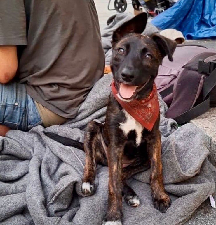 Gamelles Pleines à Lyon

Retour en images sur notre maraude de ce soir 

Nous tenons un point fixe tous les jeudis du mois d’août sur la place Carnot à partir de 19h30, aux côtés des Camions du Cœur 

À la semaine prochaine 

Association Gamelles Pleines Lyon