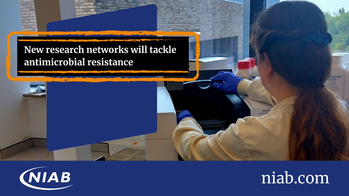 Niab (@niabgroup) on Twitter photo NIAB's <a href="/nichola_hawkins/">Nichola Hawkins</a> will co-lead one of eight new research networks set up as part of a UKRI grant to tackle antimicrobial resistance ➡️ ow.ly/w6qO50SQ3sU <a href="/ArrestAMR/">ARREST-AMR</a> NIAB's <a href="/nichola_hawkins/">Nichola Hawkins</a> will co-lead one of eight new research networks set up as part of a UKRI grant to tackle antimicrobial resistance ➡️ ow.ly/w6qO50SQ3sU <a href="/ArrestAMR/">ARREST-AMR</a>