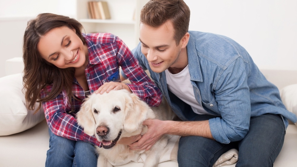 Potential Buyers Don’t Want to See, Hear or Smell Your Pets houseopedia.com/potential-buye…