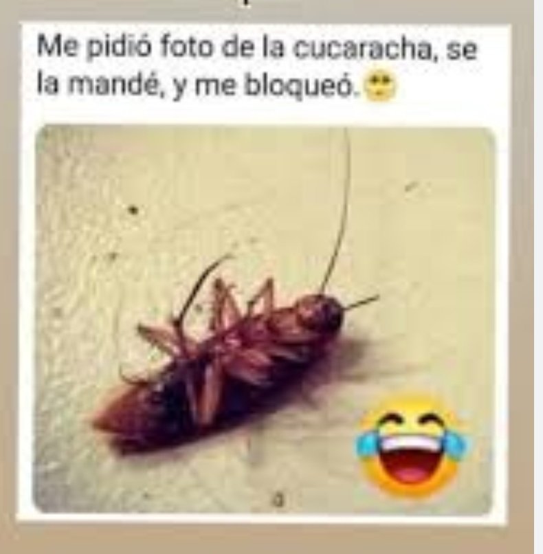 52125perez's tweet photo. 🤣🤣🤣🤣🤣🤣🤣🤣🤣🤣🤣 https://t.co/MkNk2wNwb0