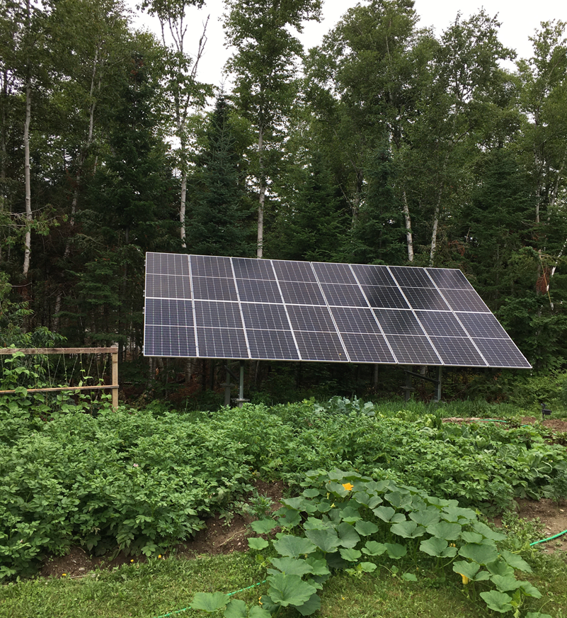 My three fave solar collectors: trees that produce wood to keep us warm; panels that power our home &amp; EV; plants that quietly produce food for our table. #Grateful
Pls don't tell me we can't get to 0 emissions &amp; solve climate change; I know we can, w sincere commitment &amp; effort.