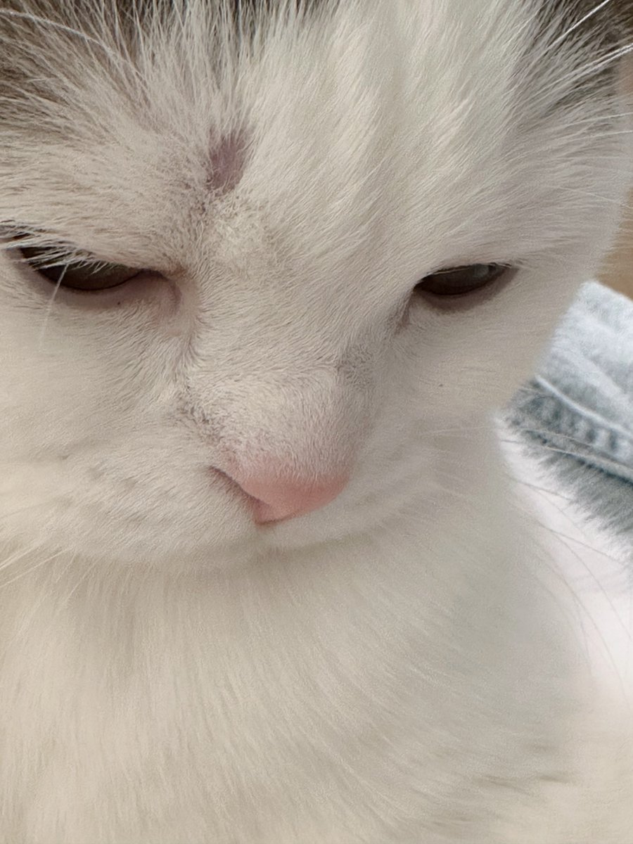 jiewliewnjiggo's tweet photo. แล้วทำไมเชื้อราหมามันต้องมาขึ้นที่จู๊ดด้วย ☹️ https://t.co/WG7Sd8DrBm