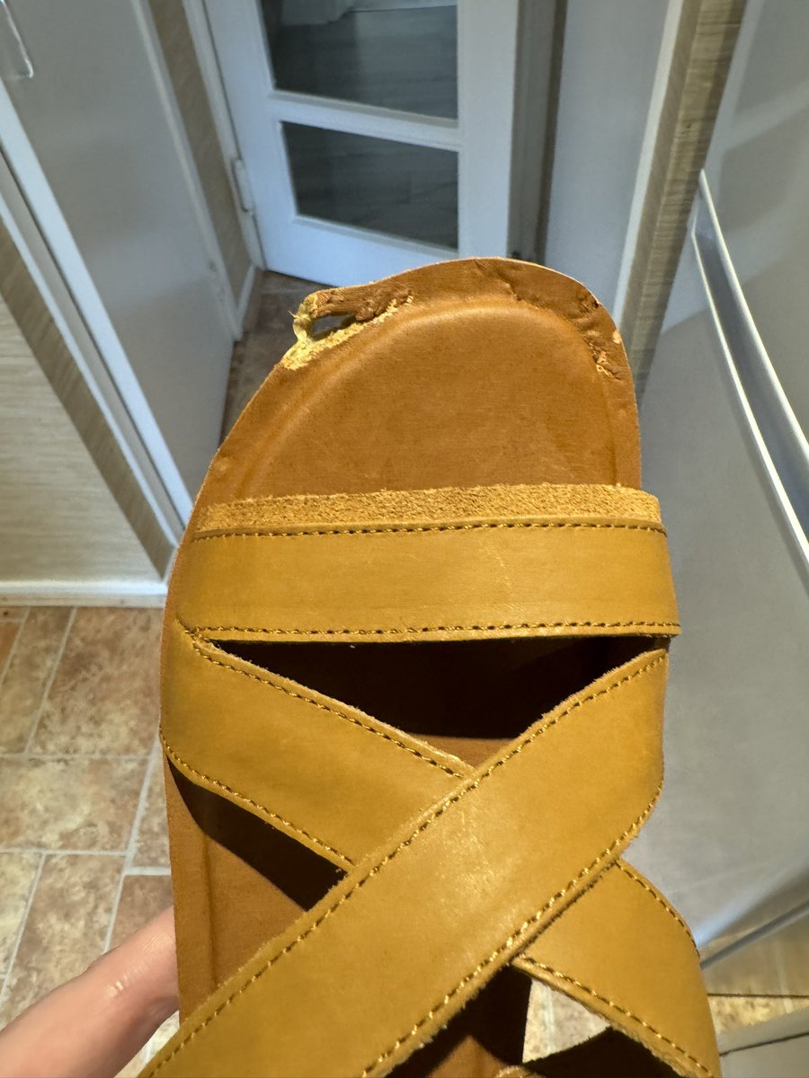 hashtagnaeidea's tweet photo. @TOMS how he sleeps after ruining the comfiest sandals ever after one wear #dachshund #puppies #toms https://t.co/uJ34owIBFX