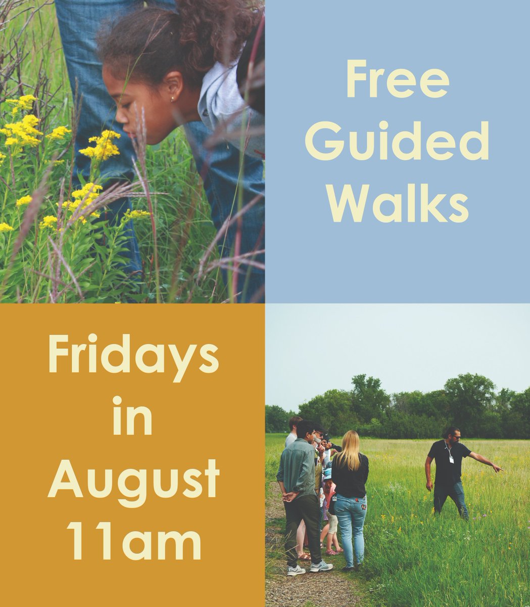 Don’t forget, guided walks today at 11am! Experience the prairie with one of our naturalists. Or come this weekend and take a self-guided walk on the trails! Interpretive Centre open 10am-5pm Saturday and Sunday.