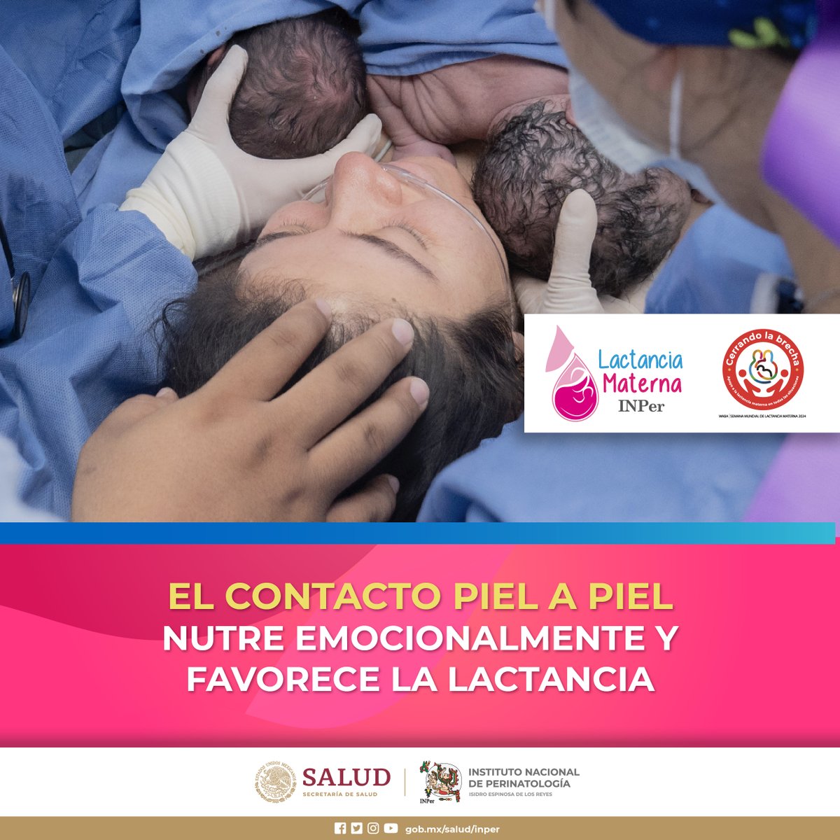 INPer_mx's tweet image. El contacto piel a piel nutre emocionalmente y favorece la Lactancia

#SemanaMundialDeLaLactanciaMaterna #Semanamundialdelalactanciamaterna2024 #CerrandoLaBrecha #LactanciaMaterna #LactanciaMaternaINPer #contactopielapiel