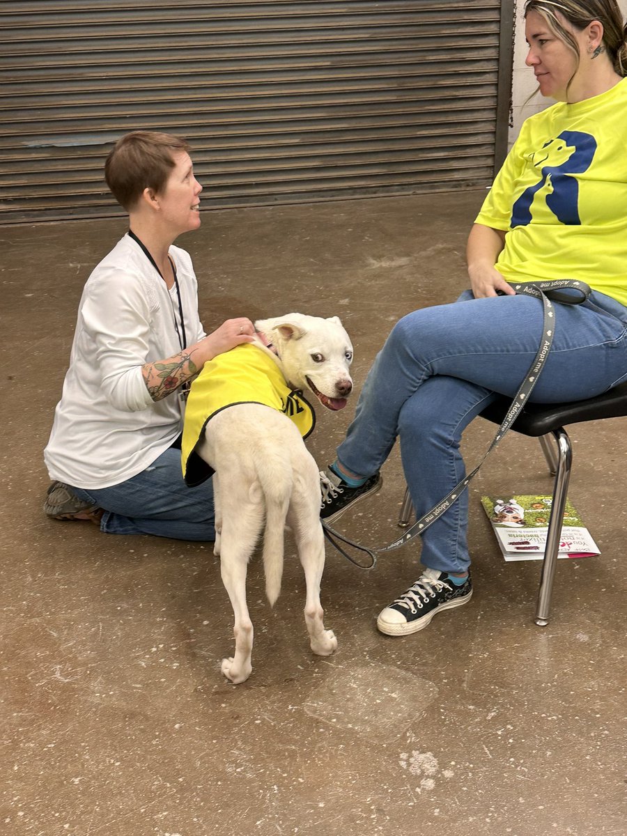 We can’t think of a better way to kick off a Friday than coloring with canines. Thanks to <a href="/garlandtxgov/">Garland Texas</a> Animal Services for bringing their furry friends to campus.