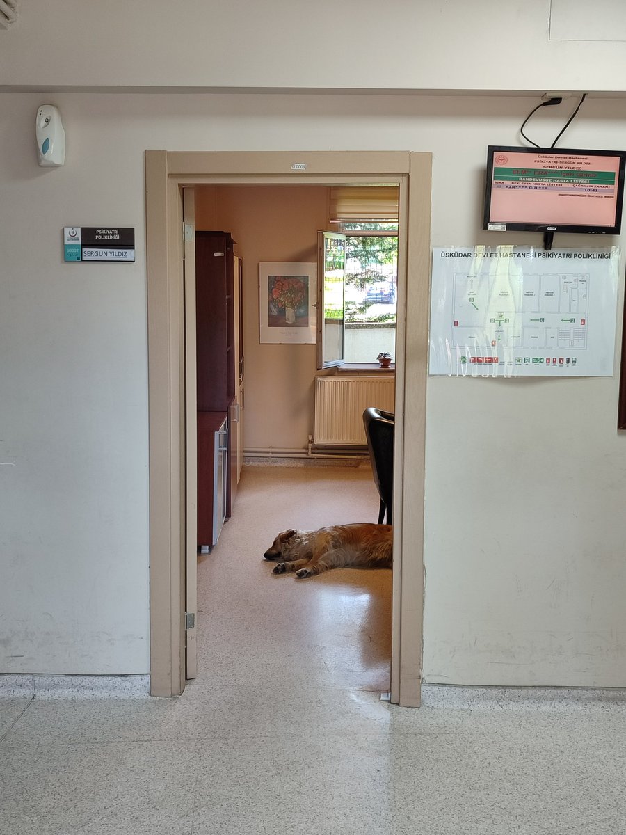 Üsküdar devlet hastanesinde doktor odasında başıboş köpek görüntülendi. 

Devlet hastenelerimiz Hindistan ile yarışıyor.
<a href="/saglikbakanligi/">T.C. Sağlık Bakanlığı</a> 
<a href="/sagliklicozum/">T.C. Sağlık Bakanlığı Sağlıklı Çözüm</a>