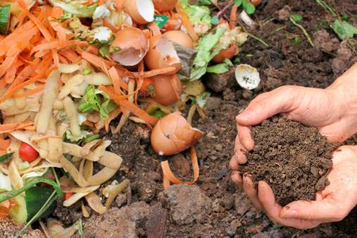 Ecoquestg's tweet photo. "Transforming kitchen scraps into rich compost not only nourishes our gardens but also reduces waste and promotes sustainability. Let's all contribute to a greener planet, one compost bin at a time. #Composting #Sustainability''.Have a fruitful weekend! https://t.co/KvYGKFN5nc