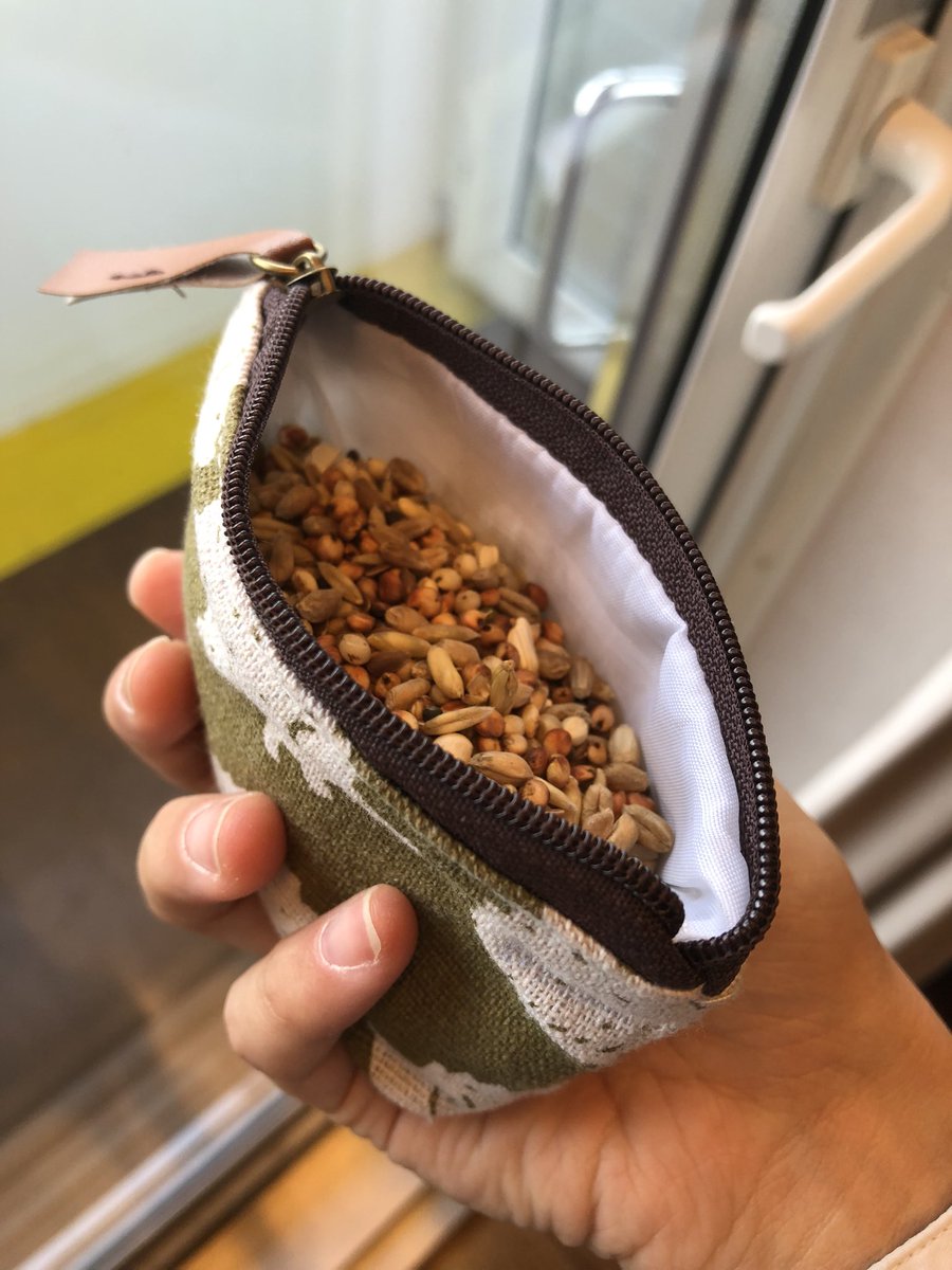 Don’t want to be without bird snacks when I go to London so I am carrying around this little coin purse filled with luxury racing pigeon seed