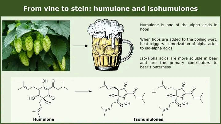 It'is #InternationalBeerDay!
Let's read something about humulone and iso-humulones phyto-chem.com/2023/09/24/fro…