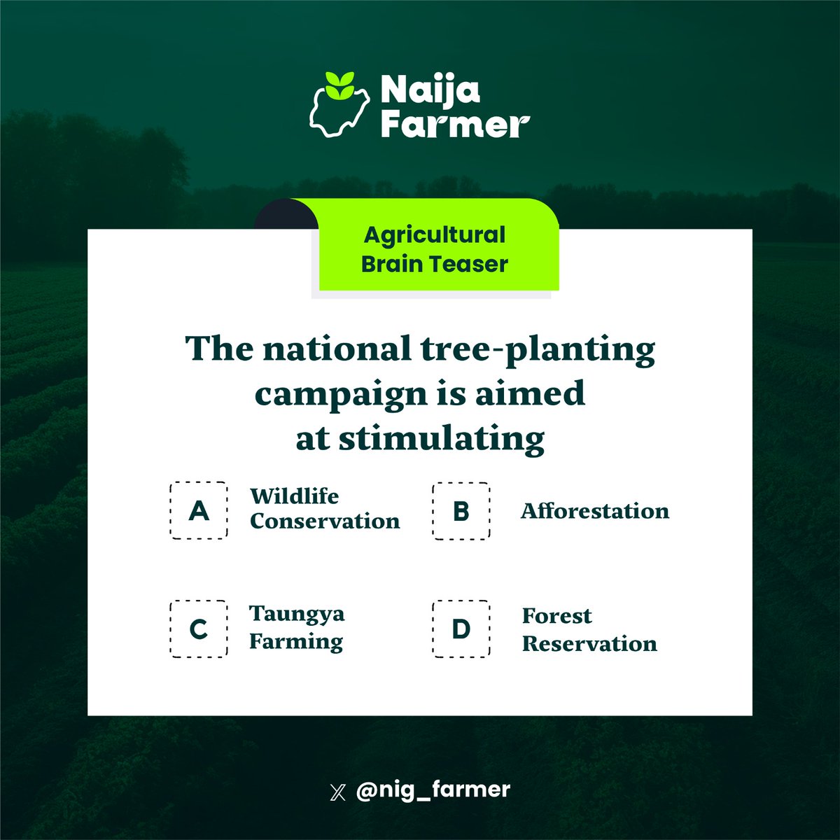 NaijaFarmer tweet media