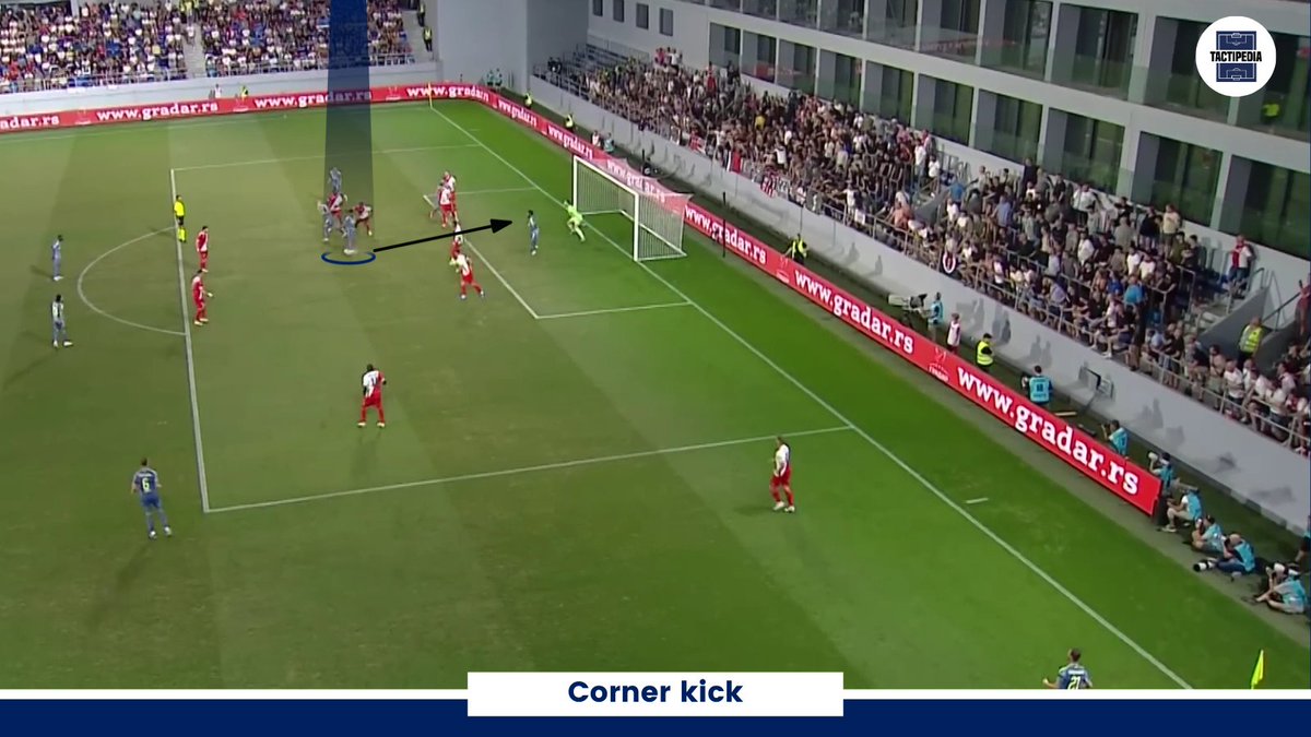 Thom Bleijerveld | Coach Pro Footballers tweet media