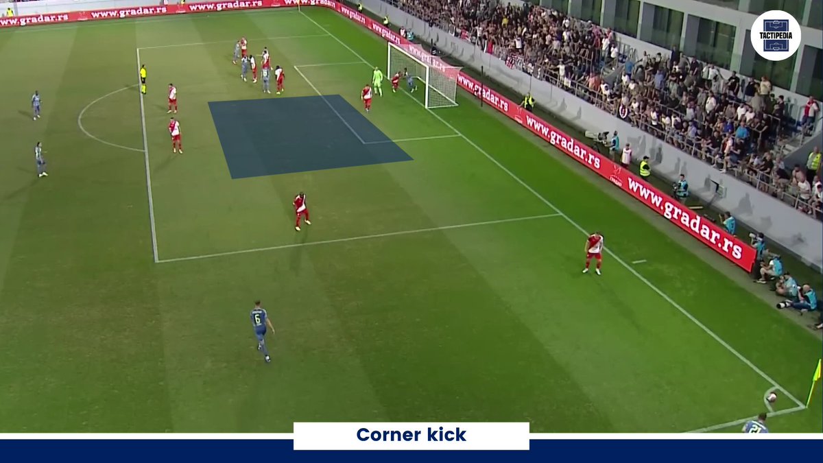 Thom Bleijerveld | Coach Pro Footballers tweet media