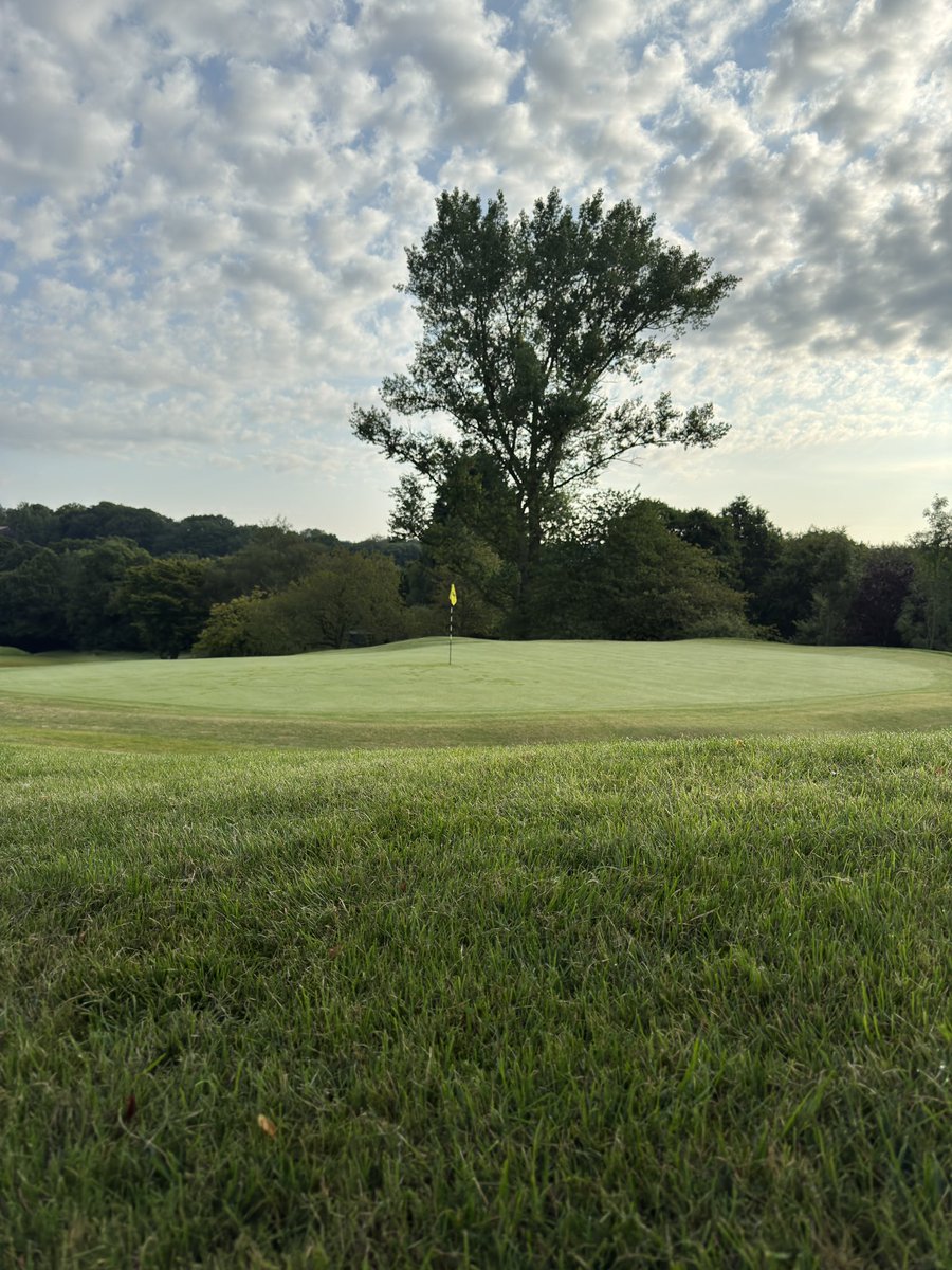 Chris Wood tweet media