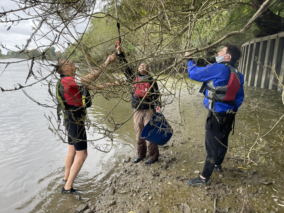 active360 tweet media