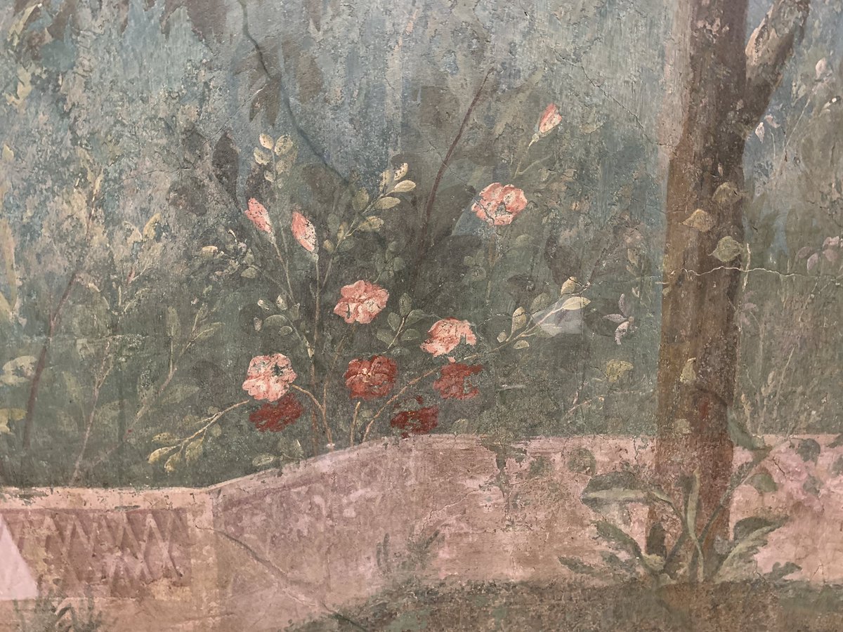 Such a joy to retreat from the searing heat of Rome to the delights of Livia’s garden room in Palazzo Massimo: