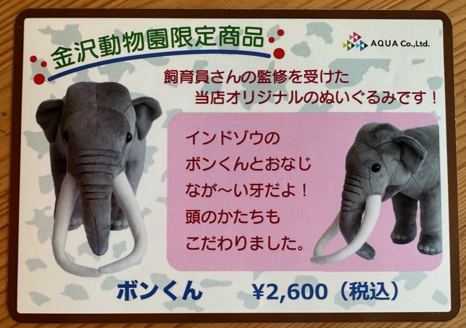 8/12は #世界ゾウの日 #ののはなギフトショップ では「インドゾウの