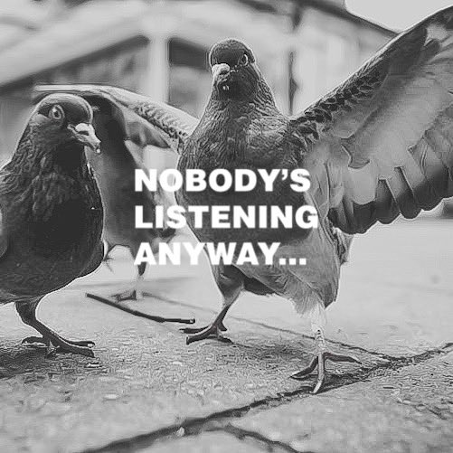 TheARTMuZeum's tweet photo. “Pigeons On A Stoop” Drops Tue 8.6

https://t.co/Dp8SwGzRnQ

“Nobody’s Listening Anyway…” https://t.co/MnWrg7L6GR