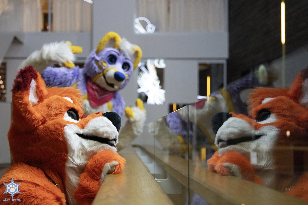 OskarJST's tweet image. Photobombed @MattShibe

#FursuitFriday 

📸 by: @Murrpy