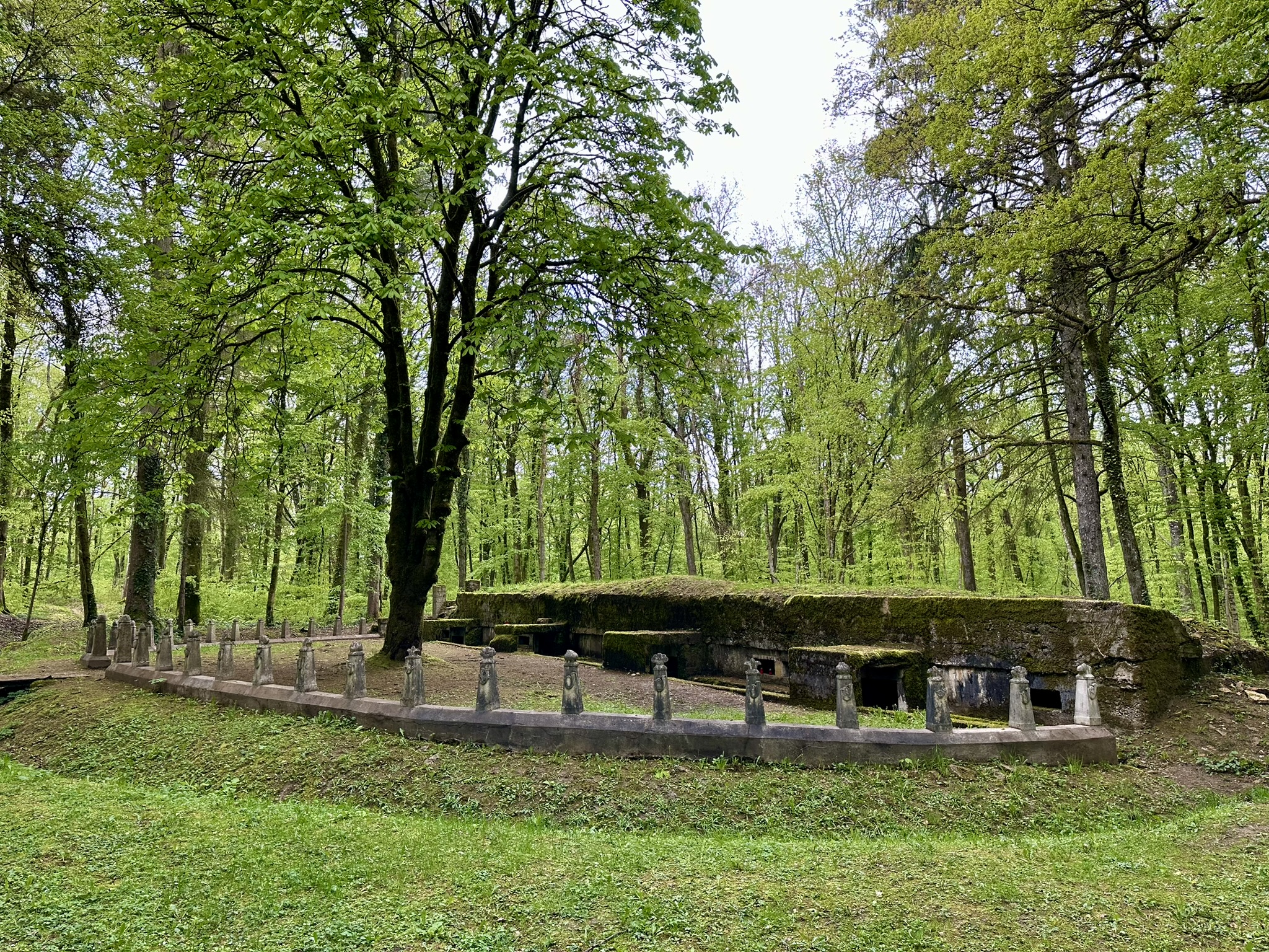 GT-MQEbXUAAnTvD