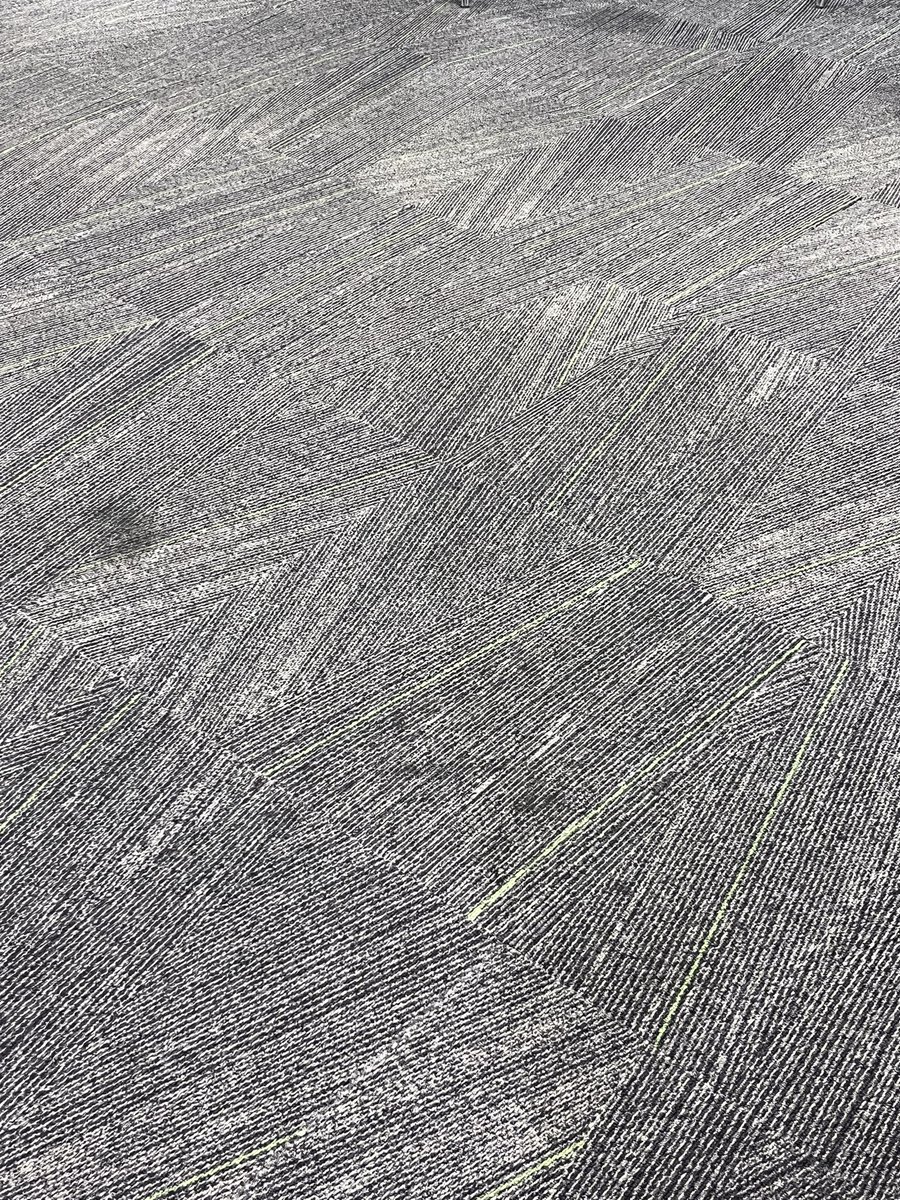 In Specsavers and my sedimentologist brain is busy interpreting the ‘cross-bedding’, ‘marker beds’, ‘faults’, ‘on laps’ and ‘truncations’ in the carpet whilst I wait for my appointment 😆 #geologyiseverywhere #sedimentology #geology