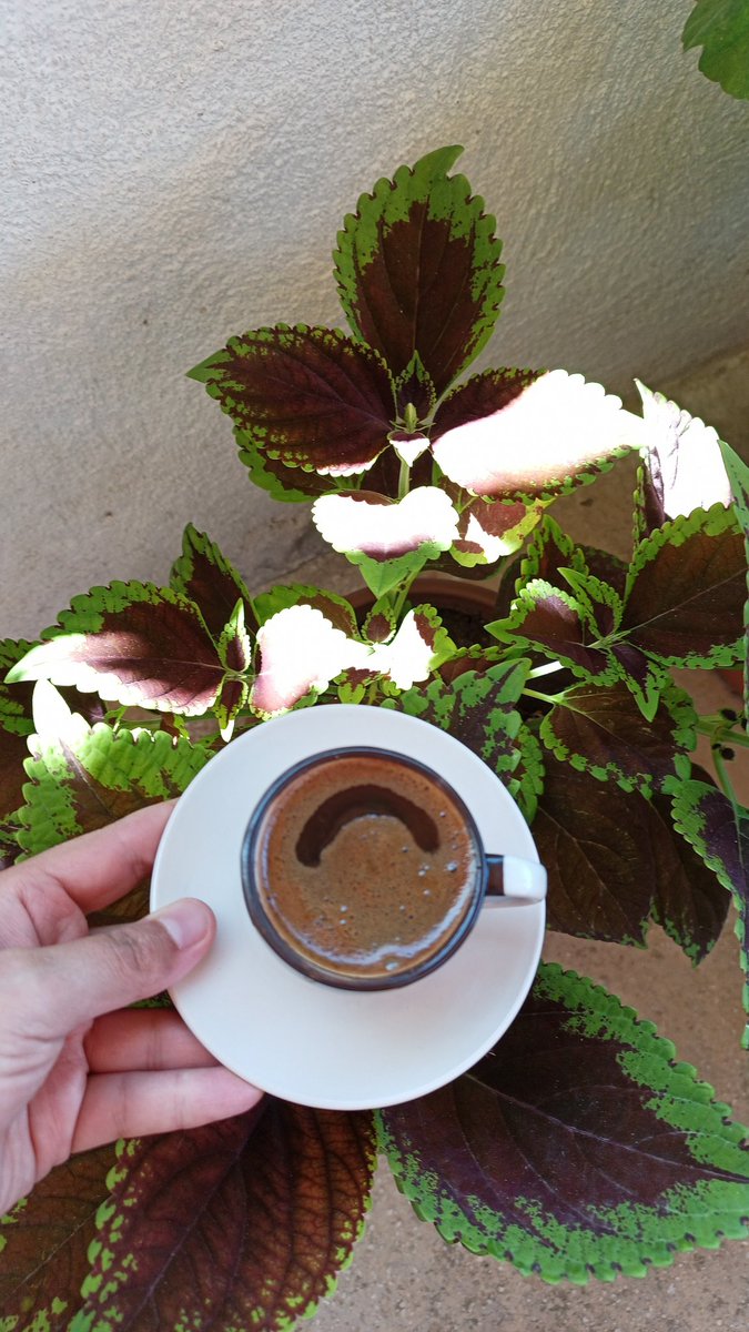 Uyumaya birebir ☕