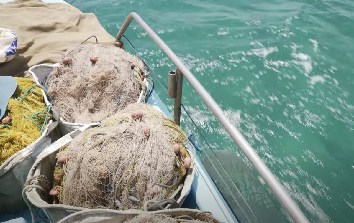 TotalEnergies Corbion (@totalcorbionpla) on Twitter photo #Bioplastic #Fishingnets produced via <a href="/EU_SEALIVE/">SEALIVE</a> can be industrially #composted in less than 6 months and are assumed to dissolve after 10 years if they escape into the ocean - which is 40 times faster than conventional #plastic fishing nets.ย Learn more totalenergies-corbion.com/news/sealive-eโฆ #Bioplastic #Fishingnets produced via <a href="/EU_SEALIVE/">SEALIVE</a> can be industrially #composted in less than 6 months and are assumed to dissolve after 10 years if they escape into the ocean - which is 40 times faster than conventional #plastic fishing nets.ย Learn more totalenergies-corbion.com/news/sealive-eโฆ