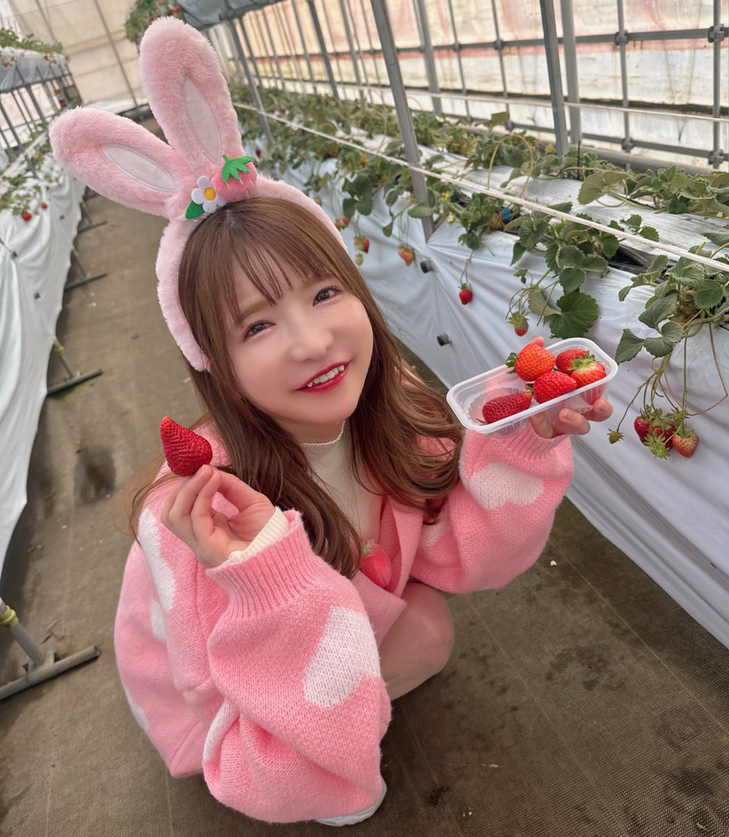 moeazukitty's tweet photo. #バニーの日 https://t.co/N5cj4Ozuaj