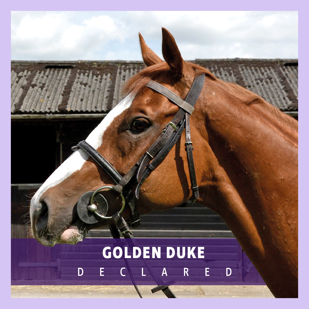ownersgroupuk's tweet photo. Golden Duke runs at Doncaster today in the 4.35 handicap. Good luck to jockey Faye McManoman, trainer Nigel Tinkler and his owners! ππ€ #OwnersGroup #GoldenDuke https://t.co/UvP48dNdcG