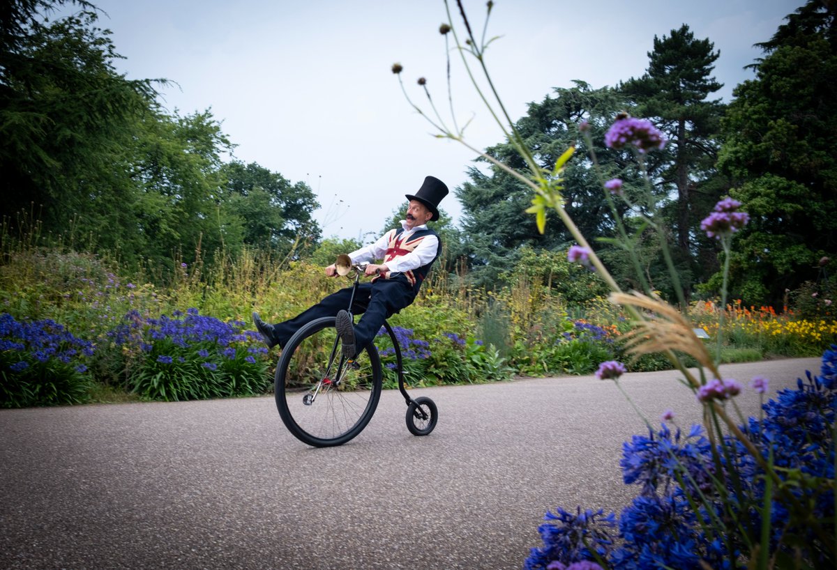 BenJonesPicEd's tweet photo. Kew Summer Cycle 2024 🚴‍♀️
@kewgardens #KewGardens #SummerCycle #fujifilmx100vi #fujixseries #fujiphotography #fujifilmxseries #photography #Nature #Weather #London #botanical #Sunset #BritishWeather #RoyalBotanicGardens #kewsummercycle #kewgardenssummercycle #SyonHouse #SyonPark https://t.co/EZYeuSX4ak