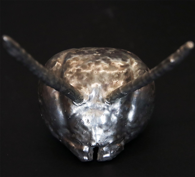 JGFermart's tweet photo. We’ve replicated how arthropods build their exoskeletons to create large metallic objects. This new metalworking allows using #natural #materials in #electronics and fabricating components like #battery electrodes at room temperature and using only water. https://t.co/bjSsGLm29x https://t.co/7bUAl2KqA0
