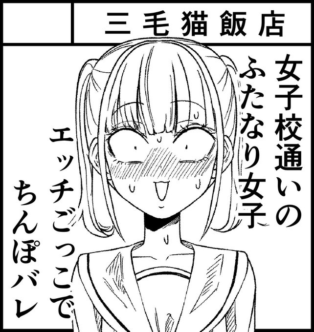 ふたけっとに申し込んだ 