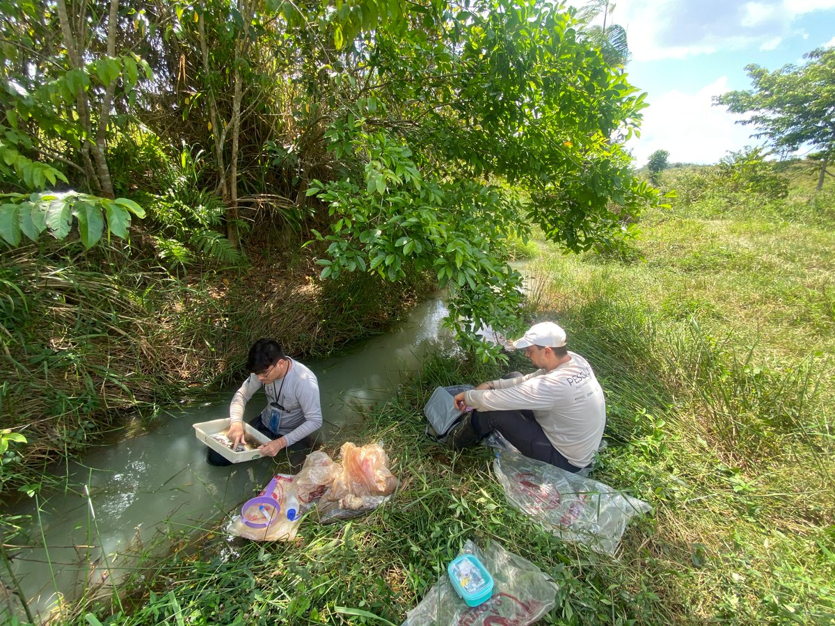 Rede Amazônia Sustentável tweet media
