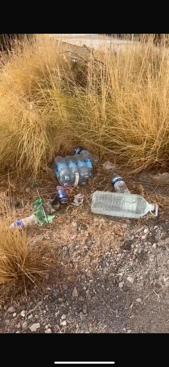 Francescocalv_'s tweet photo. Callao Salvaje @adeje uno de los "paraísos turísticos" de nuestro municipio

Disfruten de las preciosas imágenes: https://t.co/6FXJuwcOGt