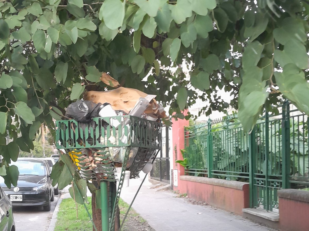 pmorosi's tweet photo. Mirá @Julio_Alak está es la vereda de @CASAbierta_LP (en 47 y 115) una d las pocas casas patrimoniales d #LaPlata q va quedando en pie. Dsd diciembre no levantan la basura. Te parece? Dale. Estoy seguro q sin demasiado esfuerzo se puede hace una ciudad mejor! https://t.co/MEn2FanJKr