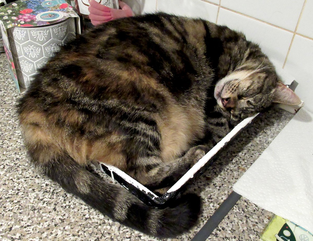 Leigh Loveday tweet media