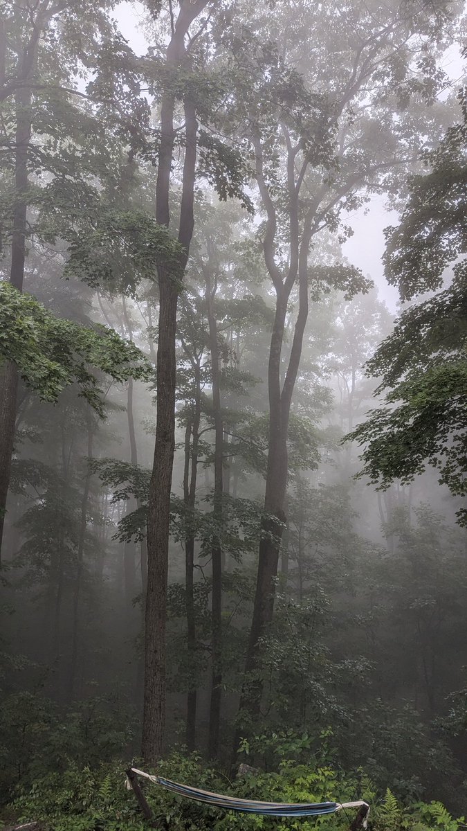 J'ai appris ce matin ce que c'est d'être dans un nuage!