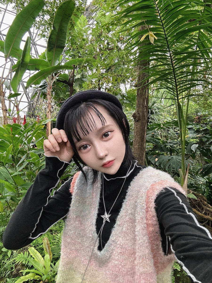 suichofu's tweet photo. 🌴 https://t.co/T9gvMpNVgz