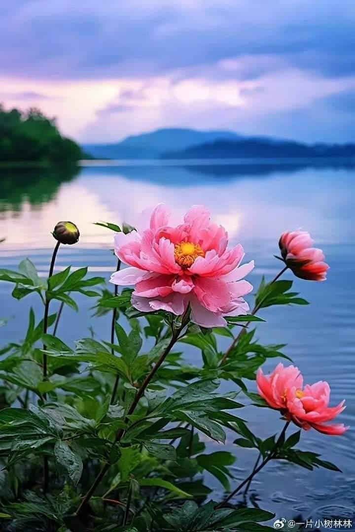 إذا شئت أن تلقى المحاسن كلها

ففي وجه من تهوى جميع المحاسن

 أبو العلاء المعري

#قروبات_البابلي_للاضافات 

<a href="/NajeebThafree/">نجيب الظافري</a>
<a href="/NSA559/">النصر</a>
<a href="/bwfhd25982/">مريم علي</a>
@ASAL_loola
<a href="/ahnl885/">آبۣۗہنۣۗ آلَشۣۗہمۣۗہآلَ</a>