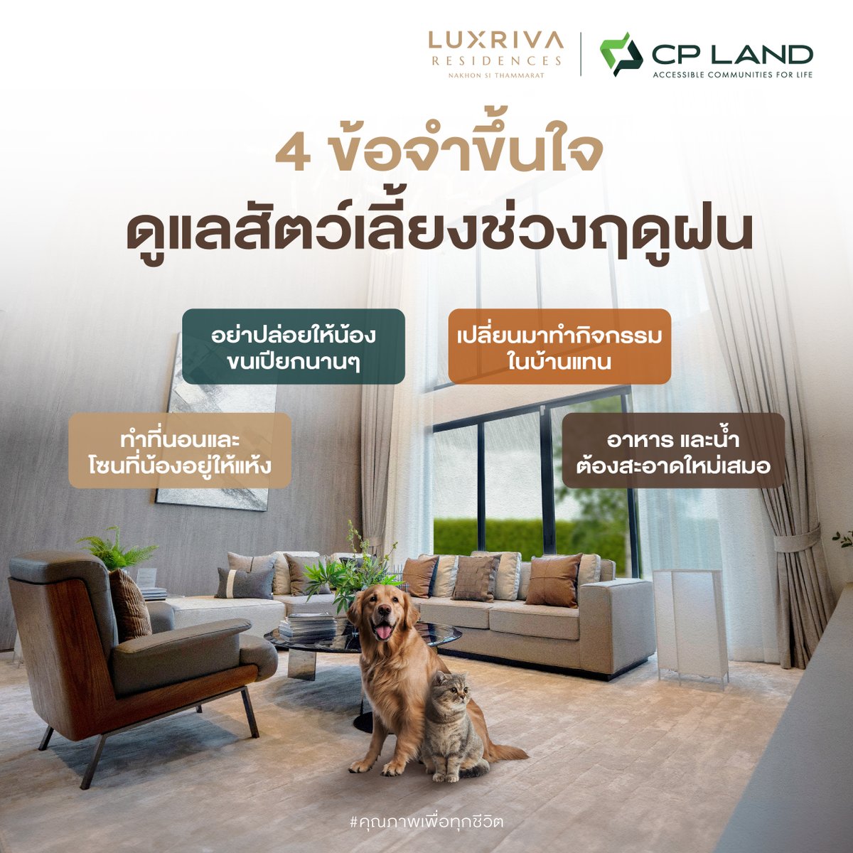 cpland_official's tweet image. หน้าฝนแบบนี้ ระวังโรคมากับฝน 🌧
กับ 4 ข้อ ที่เหล่าทาสต้องจำขึ้นใจ

กดเซฟไว้ เพื่อทำตาม พร้อมดูแลน้องๆ ในบ้านกันเลย 🐶🐱

#CPLAND #คุณภาพเพื่อทุกชีวิต #HappinessIsAllAround #ฝนตก