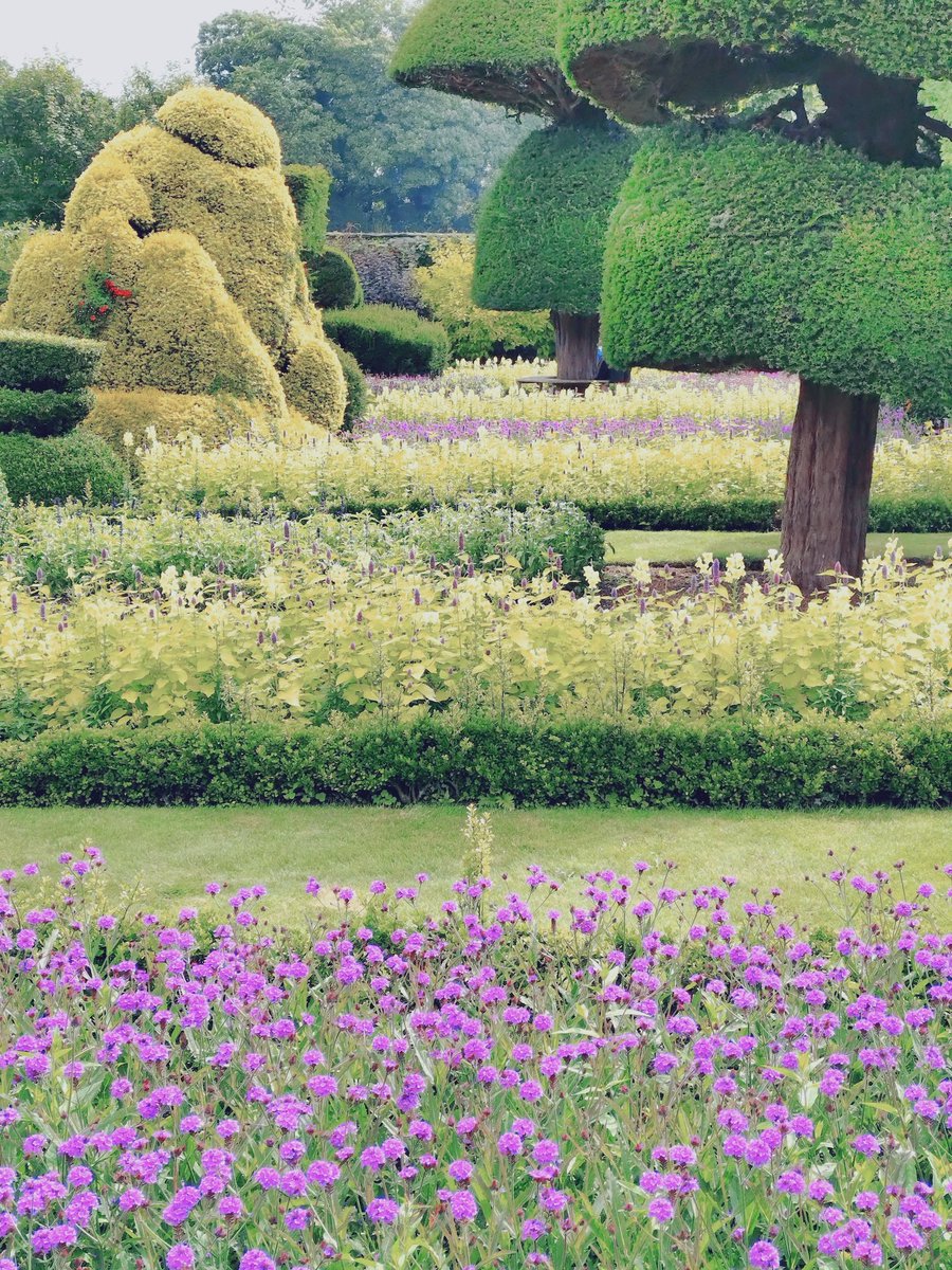 Douwe Bilder tweet media