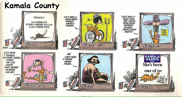 CharmCityMadMan's tweet image. #BloomCounty strip from 1980's perfectly explains @KamalaHarris campaign 'strategy' #Kamala2024 #MAGA