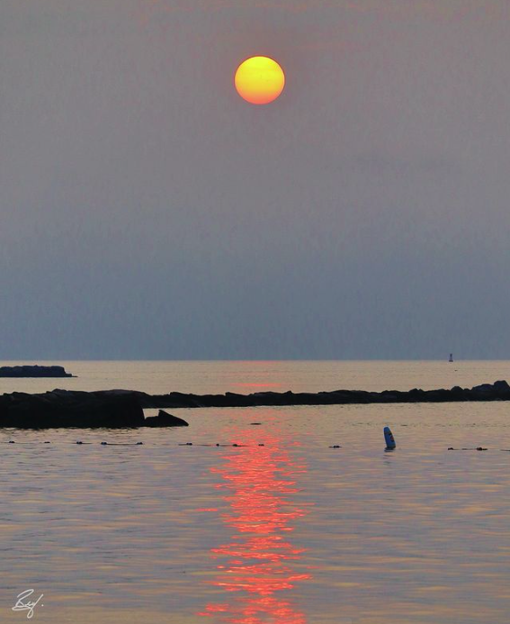 TownRye's tweet photo. Good morning 🌅  

Special thanks to Brian Jackson @brijack10580 for this fantastic photo of a recent sunrise at Rye Town Park. https://t.co/dP8ro70NdS