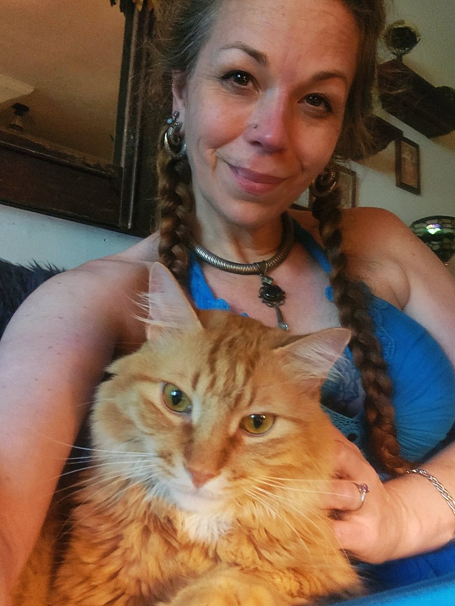 __Granuaile__'s tweet photo. That face he makes when head scratches hit just right ❤️ 
I love this big boy so much!
What is it about ginger boys that makes 'em so dang cuddley? 
Are ur orange kitties cuddle bugs too? 
We'd love to see your kitties!
#purrtherapy #RagnarCat
#RescueCat #NorwegianForestCat https://t.co/72mbOGY4Yf