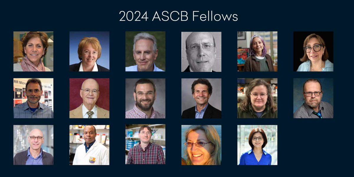 Seventeen distinguished scientists have been named 2024 ASCB Fellows! This honor is given by peers to ASCB members. The new cohort will be recognized at Cell Bio 2024 in San Diego. For more details, visit: ascb.org/society-news/s…