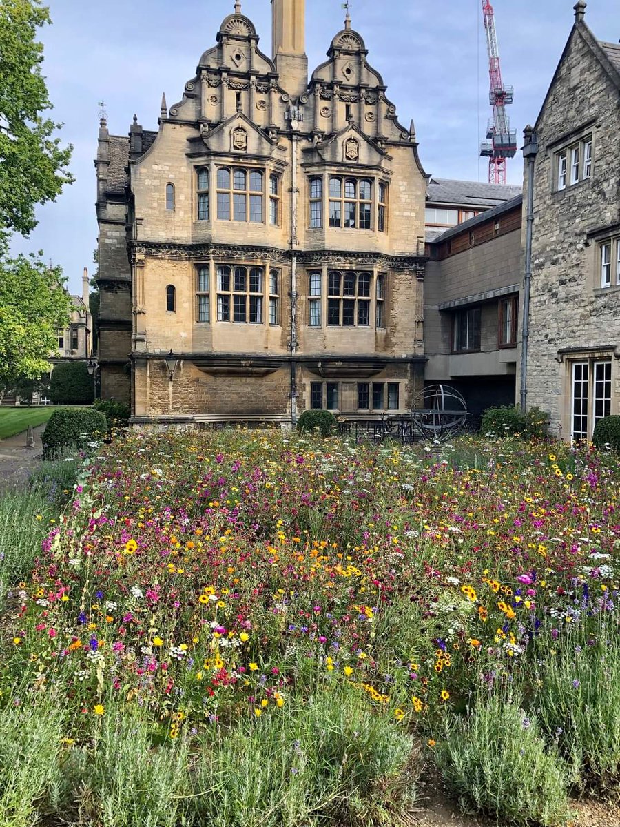 OxRBL (@oxrbl) on Twitter photo Do you work at, research or manage the historic built environment? Help us gather evidence on conserving and benefiting from #nature by completing our short survey: app.onlinesurveys.jisc.ac.uk/s/oxford/natur… <a href="/UniofOxford/">University of Oxford</a> <a href="/oxfordgeography/">SoGE, University of Oxford</a> Do you work at, research or manage the historic built environment? Help us gather evidence on conserving and benefiting from #nature by completing our short survey: app.onlinesurveys.jisc.ac.uk/s/oxford/natur… <a href="/UniofOxford/">University of Oxford</a> <a href="/oxfordgeography/">SoGE, University of Oxford</a>
