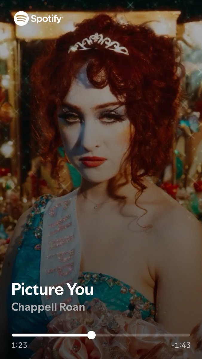 Daily cats tweet media