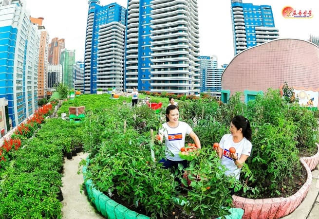 KDHC halkına sadece ücretsiz ev vermekle kalmıyor aynı zamanda sosyalleşebileceği alanlarda yaratıyor. Gerçek özgürlük budur.
The DPRK not only gives free housing to its people but also creates spaces where they can socialise. This is true freedom.
