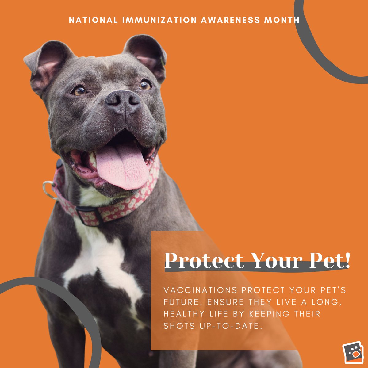 🐾 Protect your pet this National Immunization Awareness Month! 🐶🐱 Ensure their health and happiness with regular vaccinations. Contact us today to schedule their next appointment: vvcofhamburg.com/contact/

#NationalImmunizationMonth #PetHealth